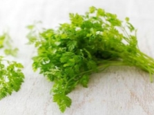 Young shoots of chervil