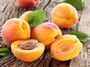 Apricot: benefits and harms, interesting recipes
