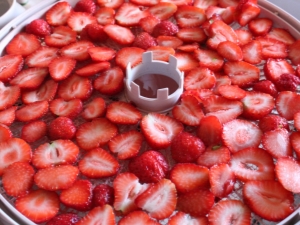 How to dry strawberries in an electric dryer?
