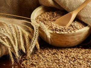 Pehme nisu: omadused ja erinevused kõvadest sortidest