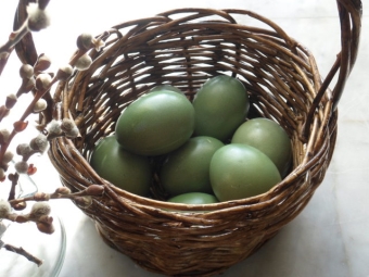 Eggs dyed with spinach
