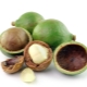 Macadamia (Australian nut)