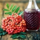 Rowan tincture: cooking instructions