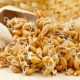 Kuidas nisu kodus idandada ja kuidas seda kasutada?