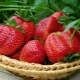 Strawberry calories