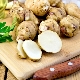 Jerusalem artichoke: benefits and harms, medicinal properties and rules for use