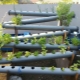 What is hydroponics and how to choose equipment for growing vegetables?