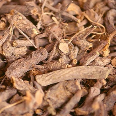 Burnet rhizomes for medicinal purposes