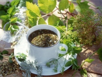 Tea with eryngium, hops and lemon balm