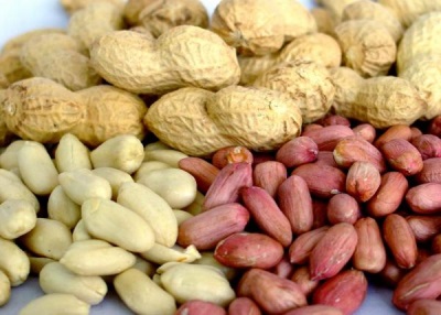 Peanut seeds are obtained by growing the plant's beans underground.