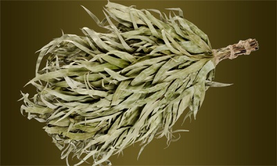 Bath broom from eucalyptus branches