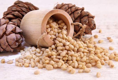 Characteristics of pine nuts