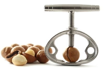 Kernels and macadamia nuts