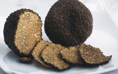 Truffles have beneficial properties for the body
