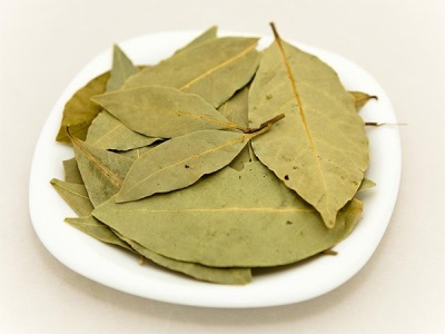 Bay leaf in medicine