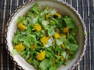 Spring salad with coltsfoot