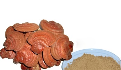 Reishi mushrooms have a rich chemical composition