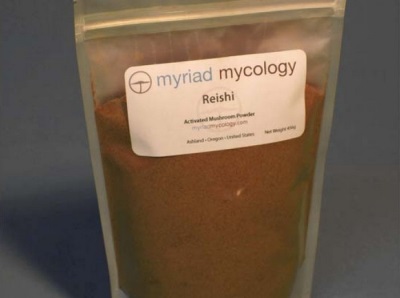 Reishi Powder for Medicinal Purposes